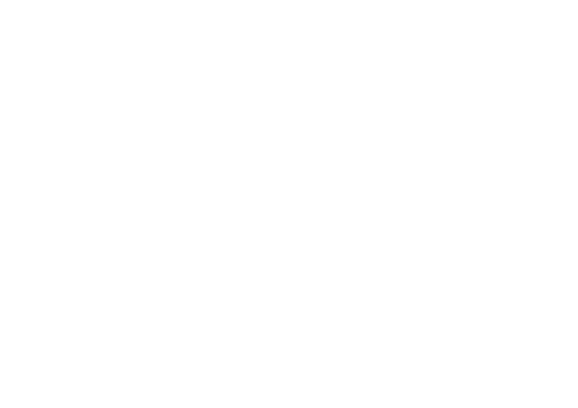 Saame AI